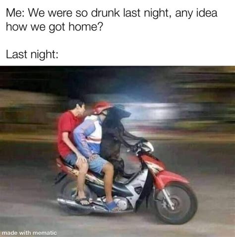 Drunk Last Night Memes Chameleon Memes