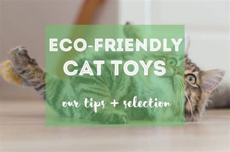 Eco Friendly Cat Toys Our Tips Selection Fluffy Kitty