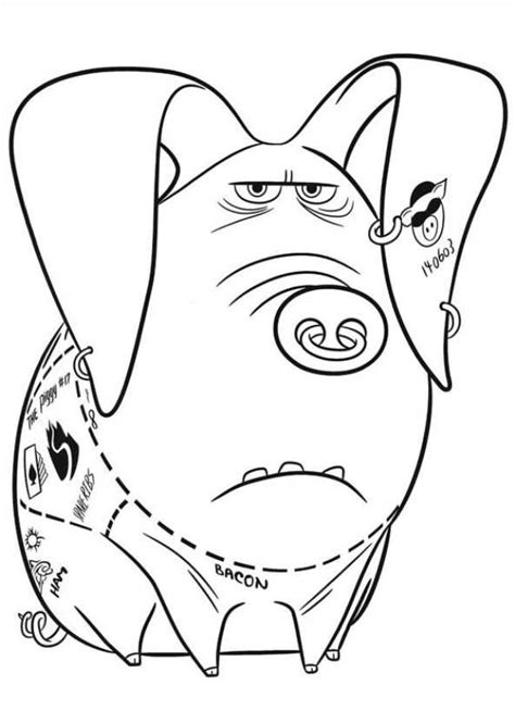 The secret world of pets. Kids-n-fun.com | 29 coloring pages of Secret Life of Pets