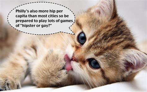Cute Kittens With Funny Quotes Quotesgram