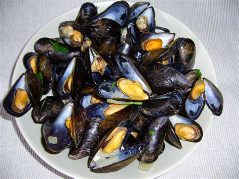 Moule Marinires Cookeo Inf Inet Com