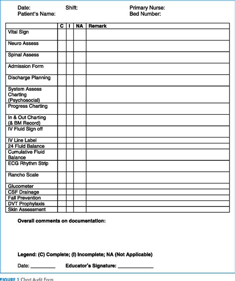 Printable Medical Chart Audit Template