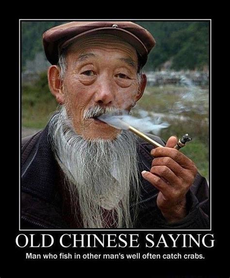 Ancient Chinese Proverb Must See Imagery 50 Funny Pics To Brighten