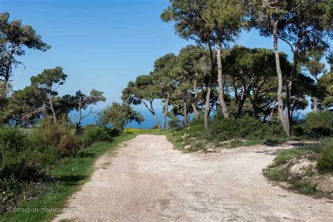 Carmel, california is one of the world's best destinations for couples. The Spring is here or Hiking the Carmel Mountains - Israel ...