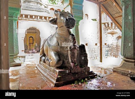 Nandi Bull Statue At Kashi Vishwanath Temple Rashin Karjat Ahmednagar