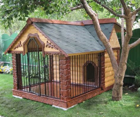 Cool Dog Houses Designs
