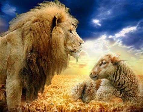 Lamb Of God Lion Of Judah Jesus The Lamb Of God The Lion Of Judah