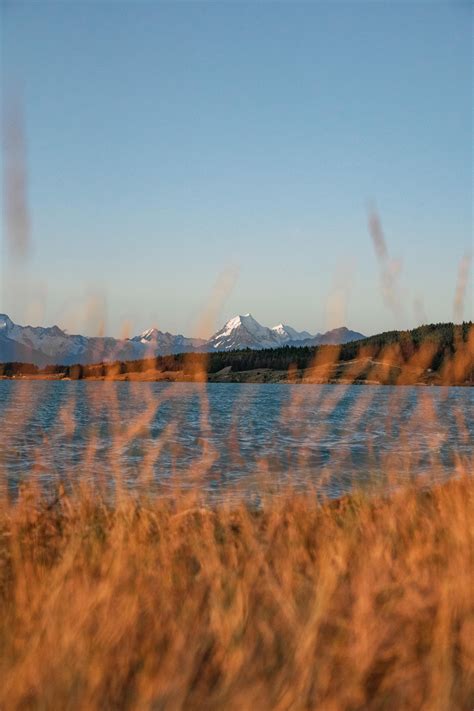 View Of Mt Cook Over Lake Pukaki I Was Amongst These