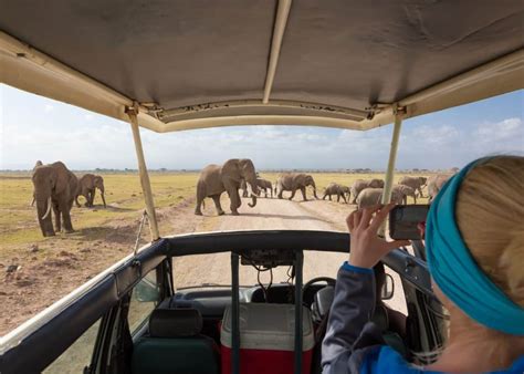 Coronavirus Hitting African Safari Tour Industry Hard Says Survey