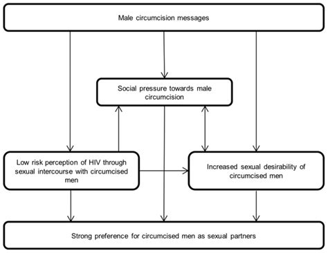 Conceptual Framework Of Factors Affecting Womens Perceptions Of Male