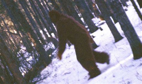 Bigfoot Is Real And There Is Dna To Prove It Claim Researchers Weird