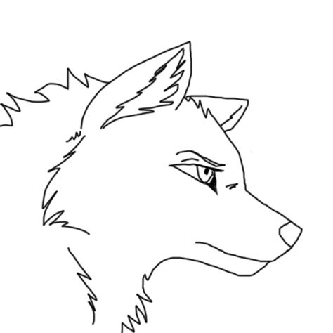 Anime Wolf Drawing At Getdrawings Free Download