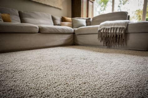 Best Wool Carpets Home