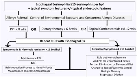 Diagnosis And Treatment Of Eosinophilic Esophagitis Journal Of