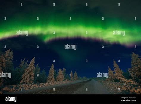 Winter Night Landscape With Forest And Polar Northern Lights Northern
