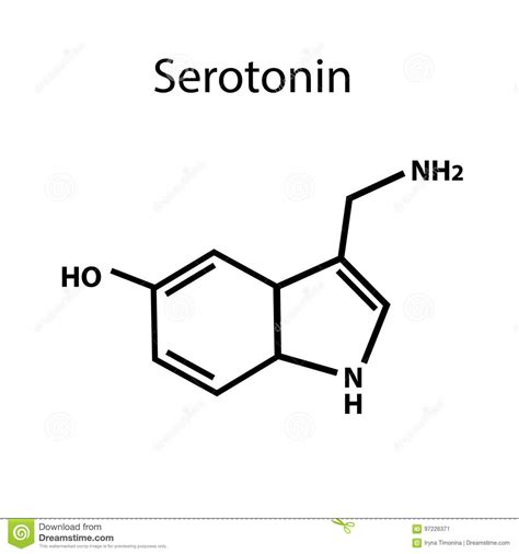 La Serotonina Es Una Hormona Fórmula Química Ejemplo Del Vector En Fondo Aislado Ilustración Del