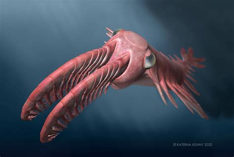 Incredible Vision In Ancient “radiating Teeth” Deep Sea Creatures Drove