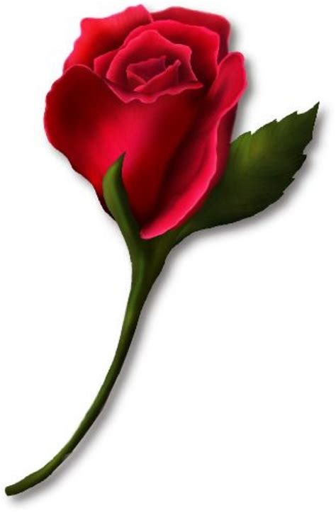 Red Rose Clip Art Free Clip Art Library