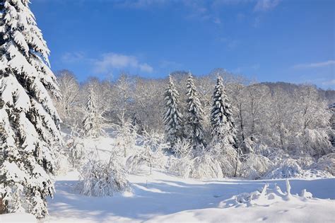 Photo Gratuite Vosges Hiver Neige Image Gratuite Sur Pixabay 1051976