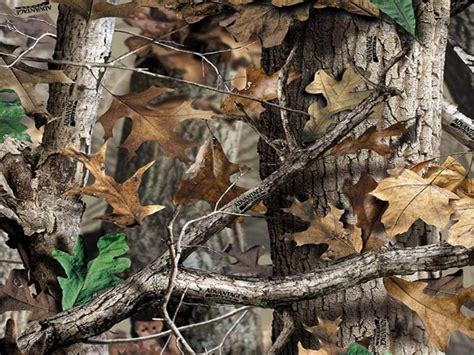 Jul 23, 2021 · realtree stays at the forefront of the latest developments in fabric design and printing in order to advise customers (licensees who pay a royalty fee to use the camo patterns) about the best ways to maintain quality and performance. Realtree Camo HD Backgrounds | PixelsTalk.Net