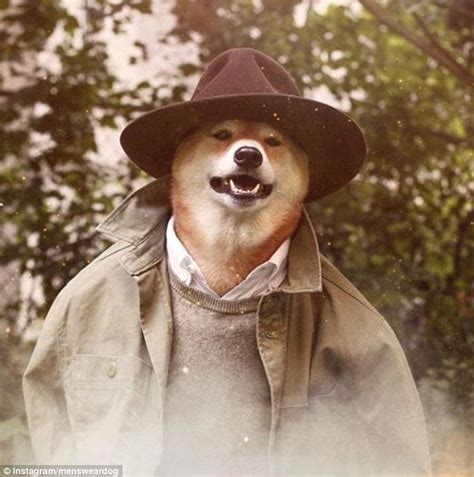 Menswear Modeling Dog Bodhi Has His Own Clothing Line Daily Mail Online