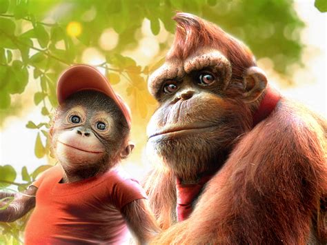 Donkey Kong Real Life By Ratgnaw On Deviantart
