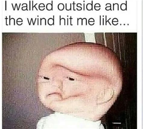 The Wind Hit Me Like Bones Funny Funny Relatable Quotes Funny Memes