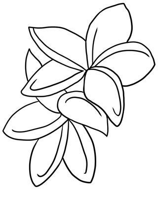 Line drawing is an art form with focus on contours. Clipart Panda - Free Clipart Images