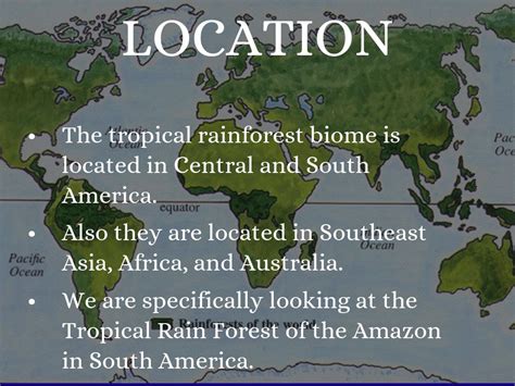 Location Of Tropical Rainforest Rainforests The Population Density