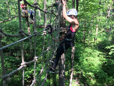Swinging Through the Trees at Treetop Trekking | Twirl The Globe