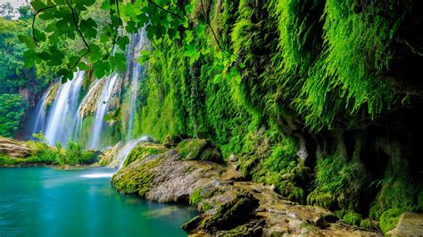 Wallpaper Tropical Forest Waterfall Hd 4k Nature