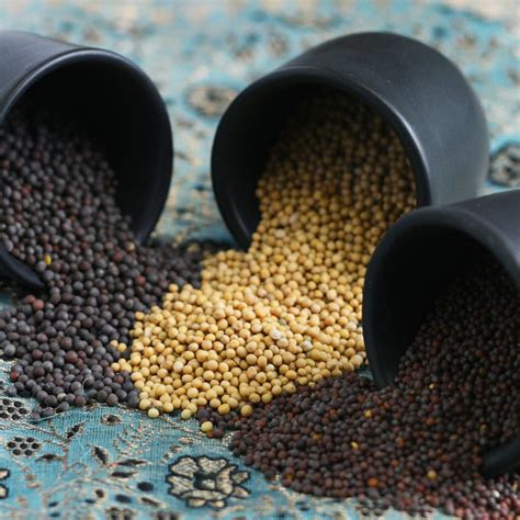 Mustard Seeds The Silk Road Spice Merchant