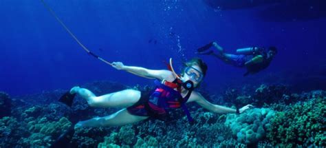 Snorkeling Vs Scuba Diving 9 Differences You Need To Know About Dive
