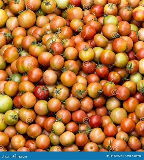Yellow Red Orange Tomatoes Stacked Together Stock Image Image Of