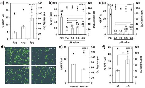 A Transfection Efficiency And Cytotoxicity Of Arm Peg Ssphis In