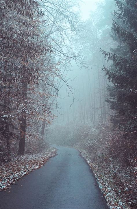 Mysterious Winter Woods 3 Is A Photograph By Jenny Rainbow Winter Road