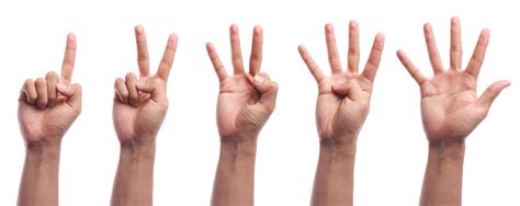 One To Five Fingers Count Hand Gesture Isolated Stock Photo Download