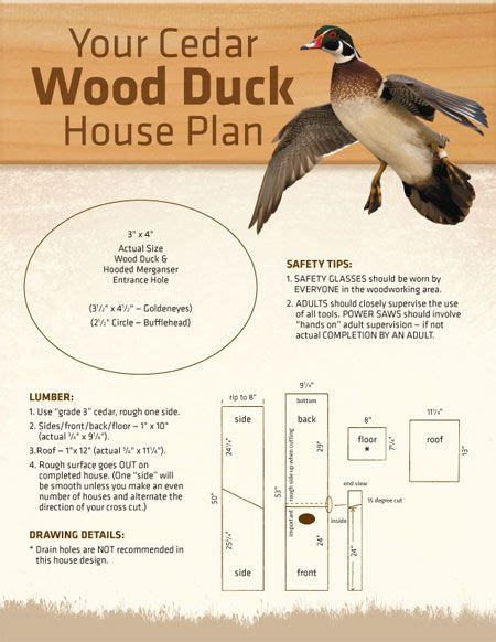 Wood duck nest boxes can be placed over land or water. Wood Duck Nest Box (With images) | Wood duck house, Duck house, Wood ducks