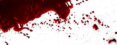 Charlotte hungerford hospital main building, ground floor 540 litchfield street torrington, ct 06790 get directions >> the winsted health center 115 spencer street winsted, ct 06098 get directions >> contact us. Blood Spatter Analyst - Megan Parham