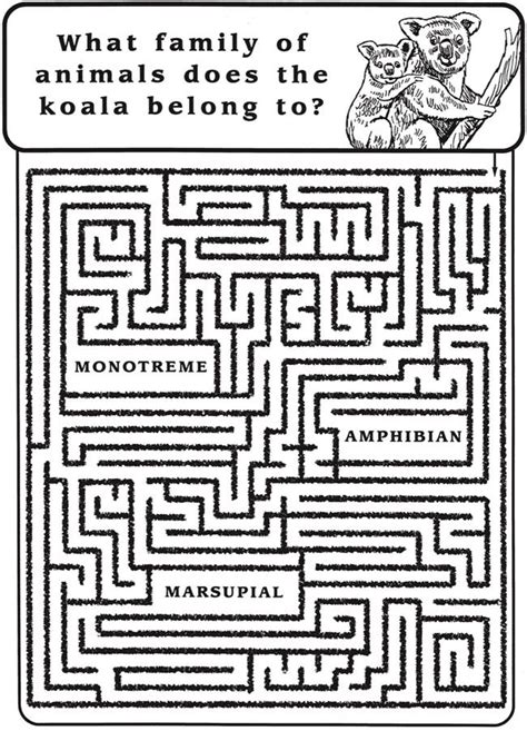 Welcome To Dover Publications Spark Nature Fun Facts Mazes Dover Publications Maze