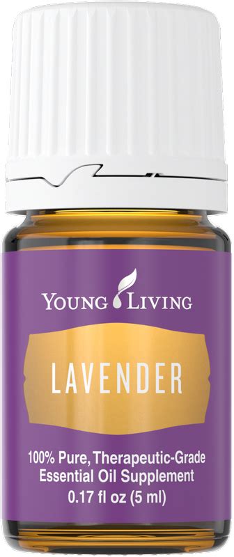 Lavender Oil The Oil Vibe