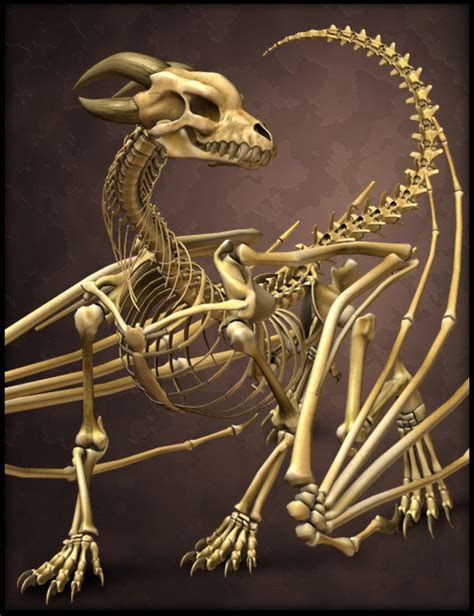 The Bone Dragon 3d Models And 3d Software By Daz 3d Dragon Art Fantasy Dragon Dragon Skeleton