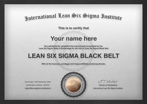 8 Day Black Belt Lean Six Sigma Training And Certification