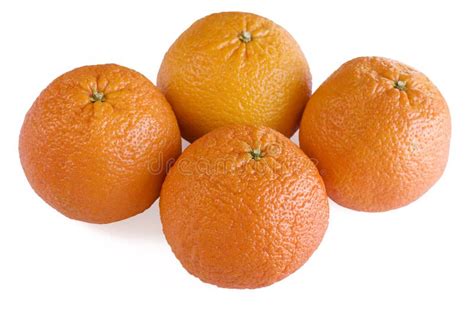 Four Oranges Stock Photo Image Of Grapefruit Dieting 8815710