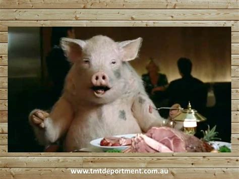 Forgetting Your Table Manners And Eating Like A Pig Pig Pigs Eating