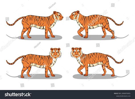 Set Standing Tiger Drawing Cartoon Vector Stock Vector Royalty Free