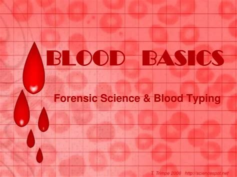 Ppt Blood Basics Powerpoint Presentation Free Download Id1867949