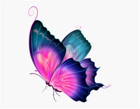 Butterfly Side View Clipart 10 Free Cliparts Download Images On