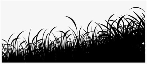 Grass Silhouette Grass Silhouette Grass Free Transparent Png