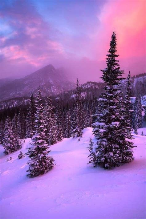 Purple Sunset In The Snow Pics